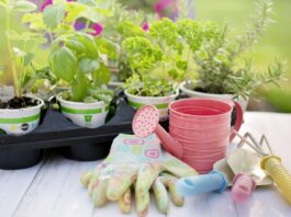 A jardinagem faz bem tanto para o corpo como para a mente. Imagem - Pixabay