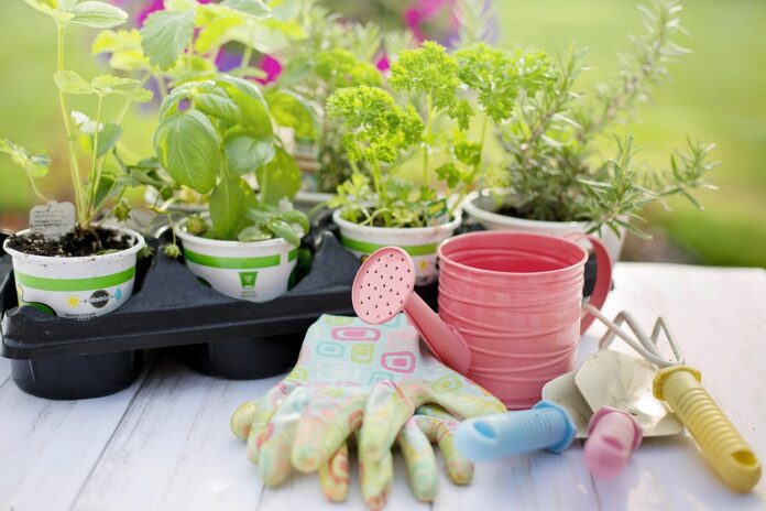 A jardinagem faz bem tanto para o corpo como para a mente. Imagem - Pixabay