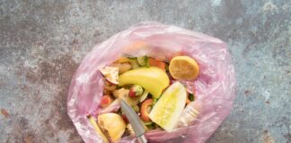 Desperdício de comida na Coreia do Sul precisa ser paga; país recicla 97% dos resíduos alimentares. Imagem - Freepik