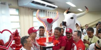 Boi Garantido venceu o festival de Parintins 2025. Foto - Secretaria de Estado de Cultura e Economia Criativa do Amazonas.