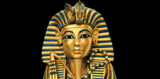 Fungo descoberto em tumba de faraó pode ser arma contra leucemia. Imagem - Wikipedia