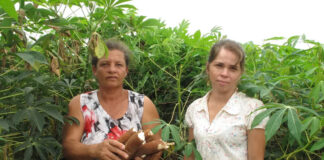 Mulheres terão linhas de crédito especial no Plano Safra para a agricultura familiar. Imagem - Pixabay