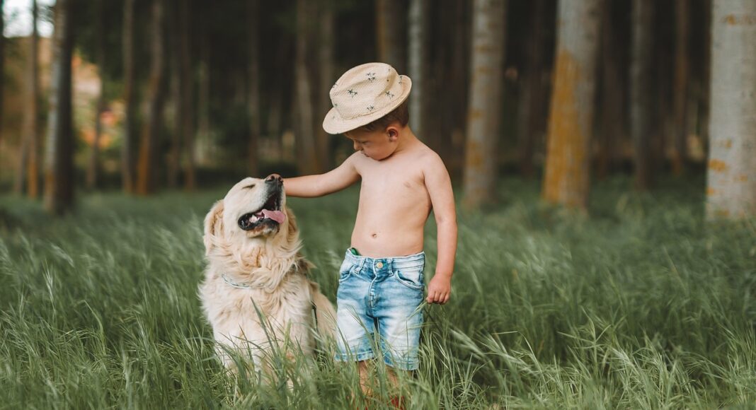 Convivência com pets aumenta a imunidade, segundo cientistas. Imagem - Pixabay