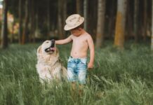 Convivência com pets aumenta a imunidade, segundo cientistas. Imagem - Pixabay