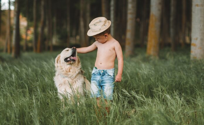 Convivência com pets aumenta a imunidade, segundo cientistas. Imagem - Pixabay