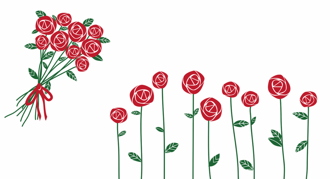 Rosas - Imagem - Pixabay