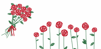 Rosas - Imagem - Pixabay