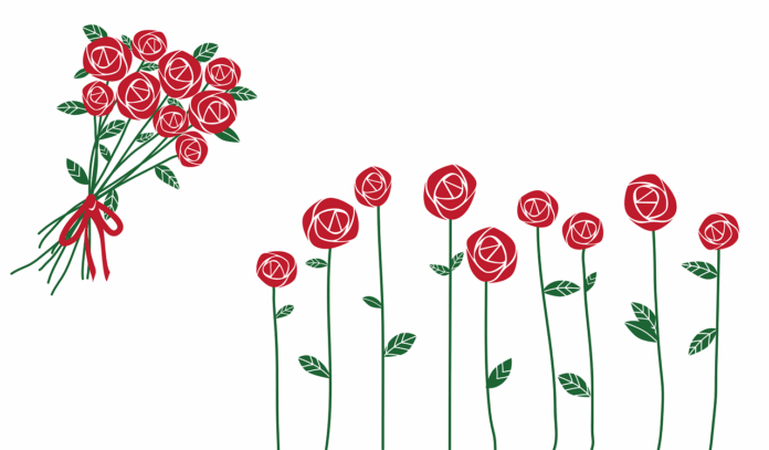 Rosas - Imagem - Pixabay