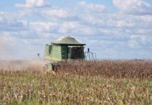 Agricultura terá recurso de R$ 512 bilhões no Plano safra; na foto, colheita mecanizada
