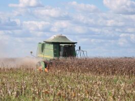 Agricultura terá recurso de R$ 512 bilhões no Plano safra; na foto, colheita mecanizada