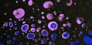 Foto de Maria Kovalets na Unsplash