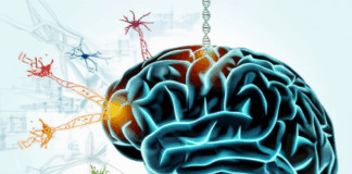 Pacientes com Parkinson têm nova esperança para tratar a doença