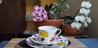 Xícara, pires e prato de bolo da coleção da família Bicalho, decorados com bolsas, sapatos, vestidos. Foto - arquivo pessoal