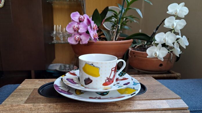 Xícara, pires e prato de bolo da coleção da família Bicalho, decorados com bolsas, sapatos, vestidos. Foto - arquivo pessoal