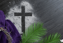 Imagem - CNBB / Portal Kairós