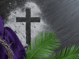 Imagem - CNBB / Portal Kairós